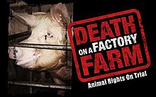 Death on a Factory Farm.jpg