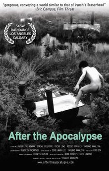 After the Apocalypse poster.jpg