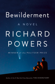 Bewilderment (Richard Powers).png