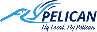 FlyPelican