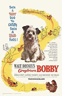 <i>Greyfriars Bobby</i> (film) 1961 film by Don Chaffey