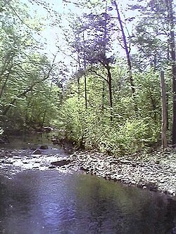 Harapan baru Creek oleh Laurel Hill kaki trail.jpg