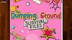 Dumping Ground Survival Files.jpg