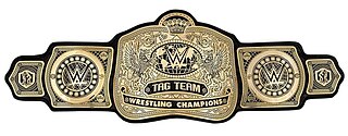 <span class="mw-page-title-main">WWE Tag Team Championship</span> Mens professional wrestling championship