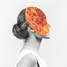 Agent Fresco - Destrier album art.jpg