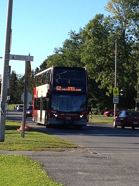 File:OCTranspo bus8018.jpg