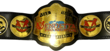 VendettaProWrestlingTagTeamChampionship.png