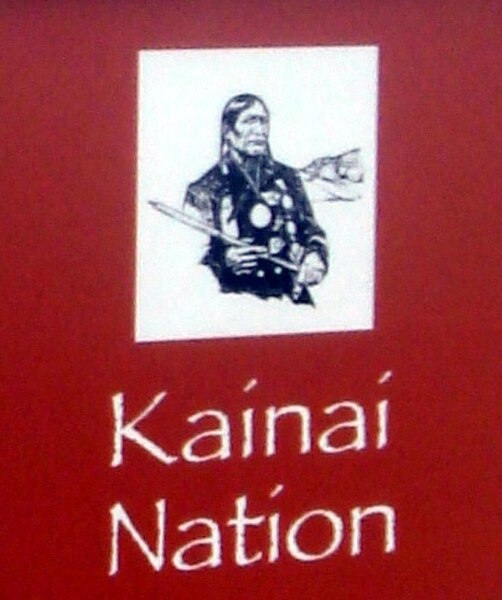 Shield of the Kainai Nation