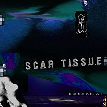 Scar Tissue - Potential.jpg
