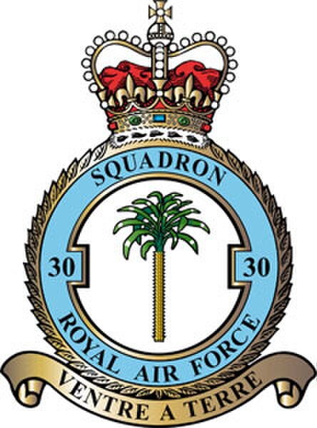 Squadron badge