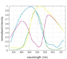 CYGM sensor spectral response CMYG sensor spectral response.gif