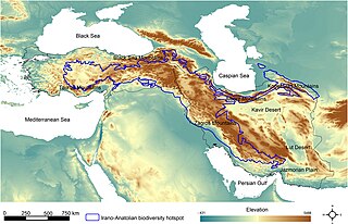 <span class="mw-page-title-main">Irano-Anatolian</span>