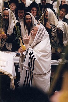 RebbeNaftuleOfBobov.jpg