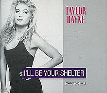 Taylor Dayne - mi Be Your Shelter (unuopaĵo kovros).jpg