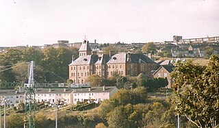 <span class="mw-page-title-main">St Finbarr's College, Farranferris</span> Defunct secondary school in Ireland