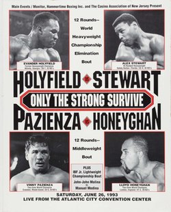 Holyfield gegen Stewart II.jpg