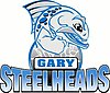 Former logo, while in the CBA Steelheads Logo.jpg