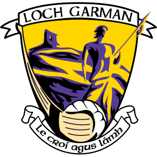 <span class="mw-page-title-main">Wexford GAA</span> County board of the Gaelic Athletic Association in Ireland