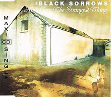 Ain't Love the Strangest Thing by Black Sorrows.jpg