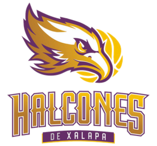 <span class="mw-page-title-main">Halcones de Xalapa</span> Basketball team in Veracruz, Mexico