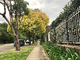 Rua suburbana em Epping NSW AUS.jpg