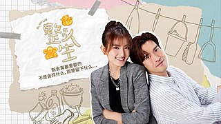 <i>Fix My Life</i> 2023 Singaporean television series