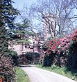 Harviestoun Castle from East c.1968