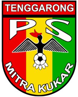 PS Mitra Kukar Association football team in Indonesia