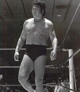 Hiro Matsuda Japanese professional wrestler (1937–1999)