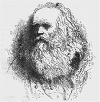 Fred Leslie as the old Rip Old-rip-van-winkle-1882.jpg