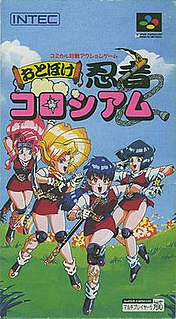 <i>Otoboke Ninja Colosseum</i> 1995 video game