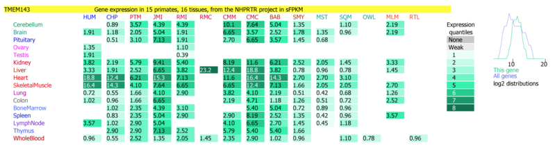 File:TMEM143 AceView.png