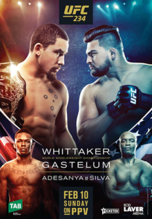 220px-UFC234poster.png