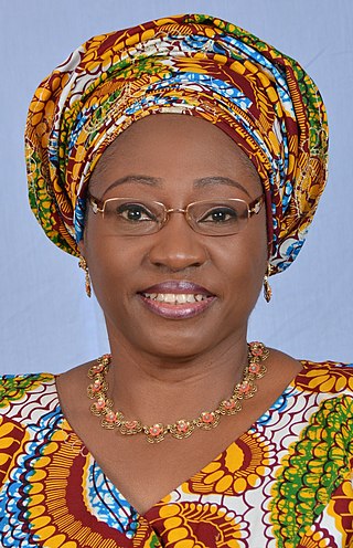 <span class="mw-page-title-main">Bisi Adeleye-Fayemi</span> Nigerian activist and writer (born 1963)