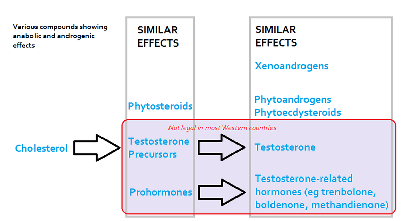 File:Compounds showing anabolic and androgenic effects.png