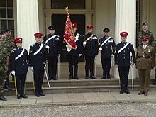 QOY Guidon with Guard of Honour for TA 100 Celebrations GuidonQOY.jpg