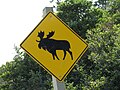 Moose crossing sign on Highway 10 in the park