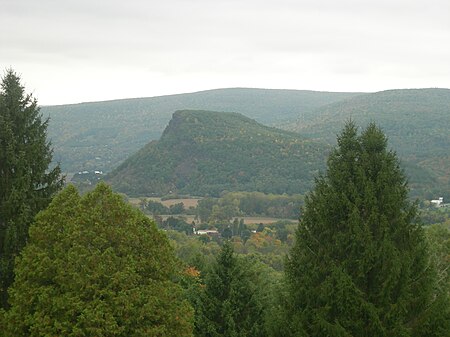 Vroman'snose