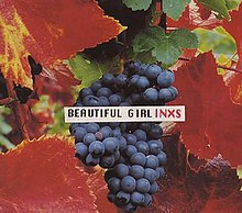 Krásná dívka (INXS single cover) .jpg