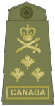 Olive green uniform (no longer in use)