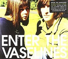 Введите Vaselines.jpg