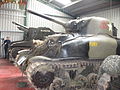 Grizzly tank at museum.JPG