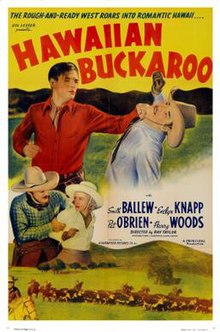 Hawaii Buckaroo poster.jpg