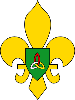 Scout Association of Ireland former Irish Scout Association which existed from 1908 to 2004