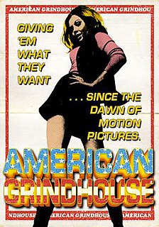 <i>American Grindhouse</i> 2010 American film