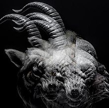 Beautiful Deformity - The Gazette Album Cover.jpg