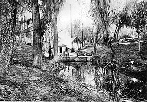 The spring in late 19th century FlBoulwareSpring.jpg