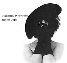 Julian Cope - Sunshine Playroom.jpg