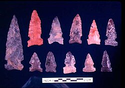 Big Sandy projectile points collected at Stanfield-Worley Bluff Shelter Stanfield-Worley Bluff Shelter - Big Sandy Points.jpg