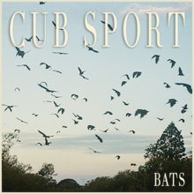 Cub Sport.png-dan ko'rshapalaklar